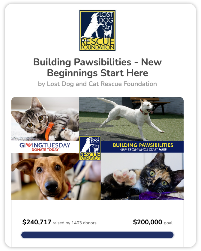 A screenshot of the "Building Pawsibilities - New Beginnings Start Here" Campaign Page.